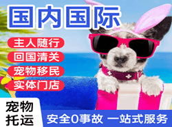 株洲芦淞机场托运国际宠物托运 【国